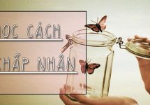 bài học về cách chấp nhận