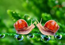 Hãy dựa vào chính mình